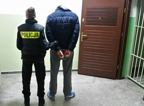 Wpadli kolejni dilerzy narkotyków - grafika