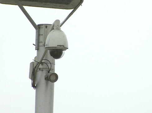 Uwaga, jesteś w kamerze - pułapce! - grafika