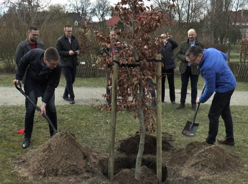 Drzewko Agnieszki Holland zostało posadzone - grafika