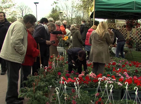 Wkrótce Agro Targi i wystawa Miasto-Ogród - grafika