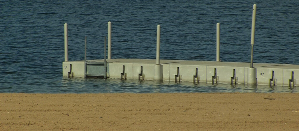 Czy odbędzie się zlot morsów?