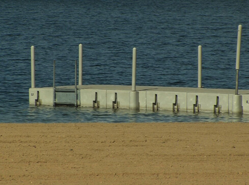 Czy odbędzie się zlot morsów? - grafika