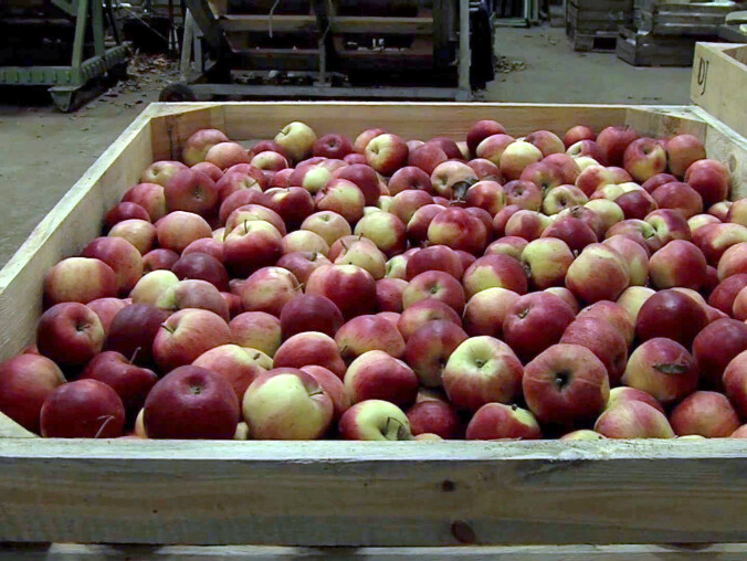 PSL wspiera sadowników - grafika