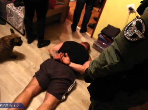 Rozbita grupa przestępcza. Zatrzymani pilanie - grafika