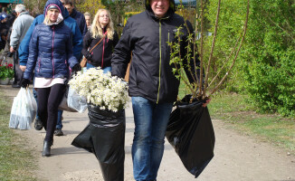 Trwa Wystawa Miasto - Ogród