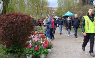 Trwa Wystawa Miasto - Ogród
