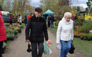 Trwa Wystawa Miasto - Ogród