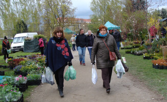 Trwa Wystawa Miasto - Ogród