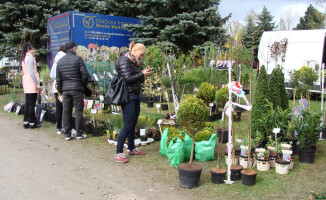 Trwa Wystawa Miasto - Ogród