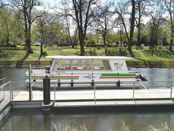 Gordalina już pływa - grafika