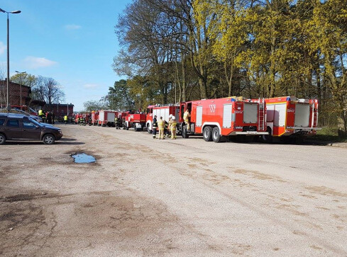 Ćwiczenia strażaków w Nadleśnictwie Płytnica - grafika