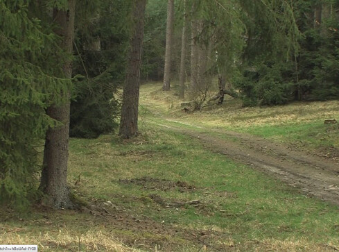 Konkurs "Bioregion w obiektywie" - grafika