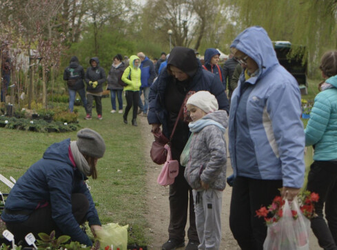 Agro Targi oraz V Krajowa Wystawa Miasto Ogród - grafika