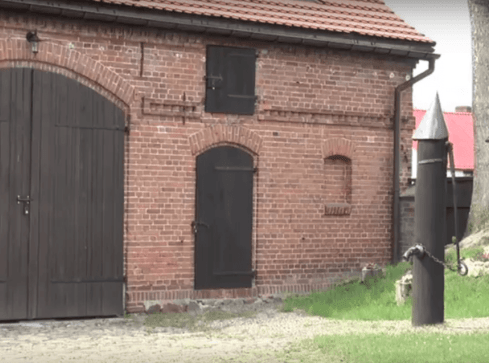 Zniszczono 33 drzewa na posesji... ministra środowiska - grafika