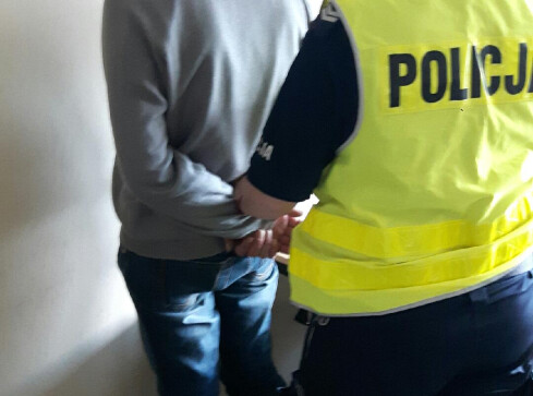 Pijani mężczyźni usiłowali wywieźć z lasu... dąb - grafika