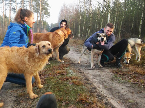 Schronisko dla zwierząt wydłuża godziny pracy - grafika