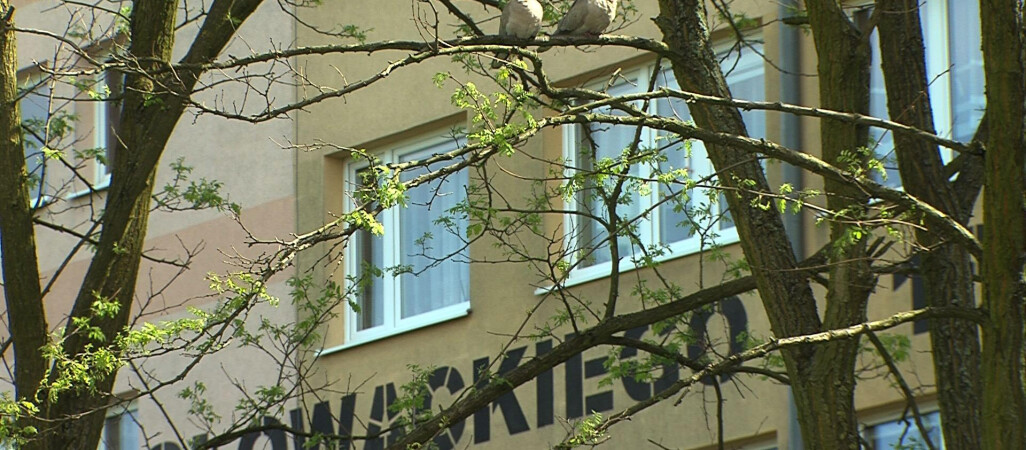 Przemoc w rodzinie czy konflikt sąsiedzki?