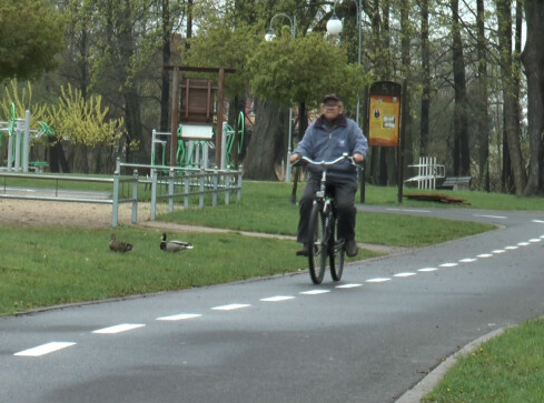 Marka Złotowa nabiera rozpędu - grafika