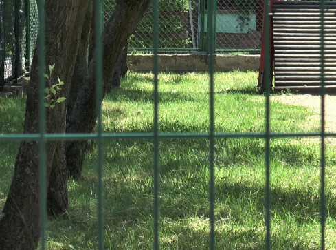 Zaatakował nożem - grafika