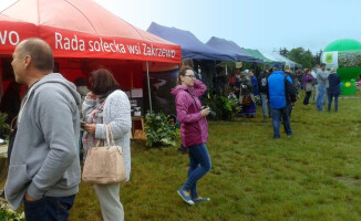 Dla mieszczuchów i nie tylko