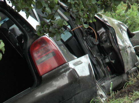 Dwie ofiary śmiertelne w Podgajach - grafika