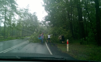 W nocy mogą wystąpić burze i silny wiatr