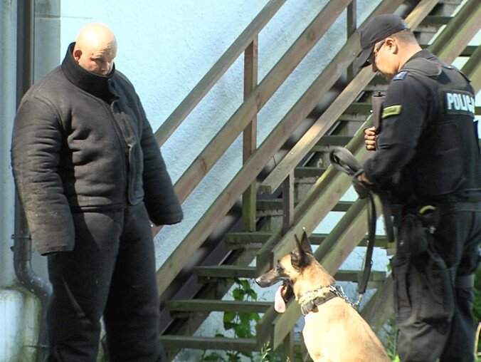 Testy psów policyjnych w Wałczu - grafika