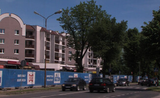 Złotów miastem przyjaznym dla pszczół