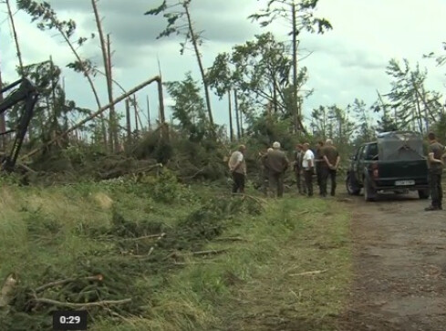 Leśnicy i strażacy razem dyżurują w Złotowie - grafika