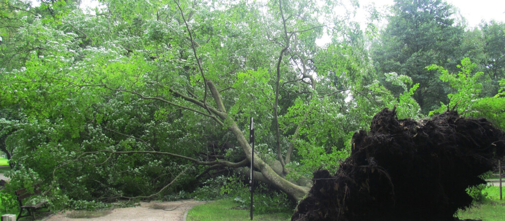 Park Miejski w Pile zamknięty