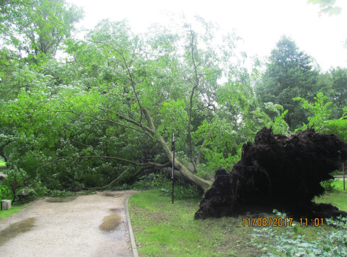 Park Miejski w Pile zamknięty - grafika