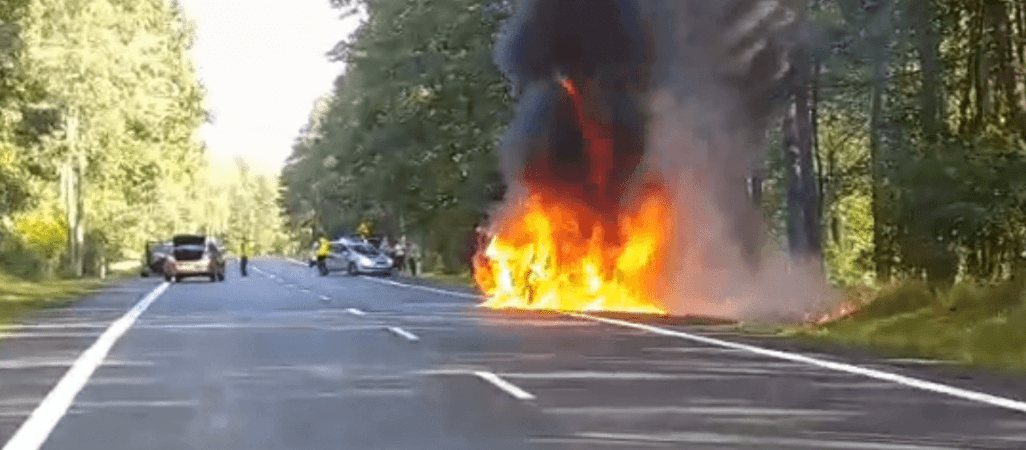 Samochód stanął w płomieniach na DK11