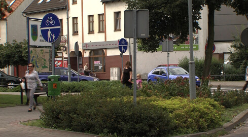 Domek dla kotów, czy pole do mini golfa? - grafika