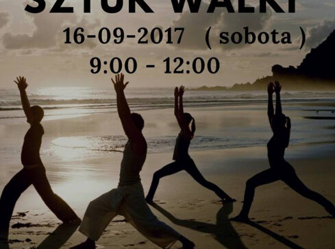 Festiwal Sztuk Walki na targowisku - grafika