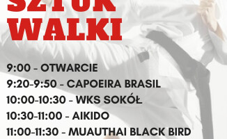 Festiwal Sztuk Walki na targowisku