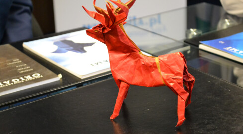 Piła w przyszłym roku zostanie stolicą origami - grafika