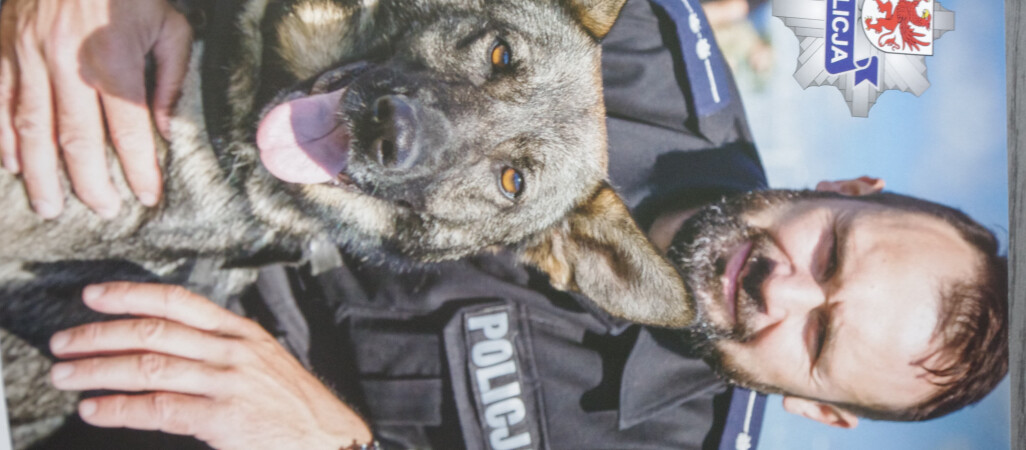 Zamiast oddać psa do schroniska, oddaj do policji