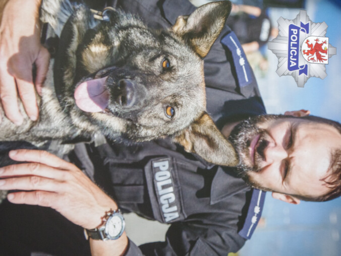 Zamiast oddać psa do schroniska, oddaj do policji - grafika