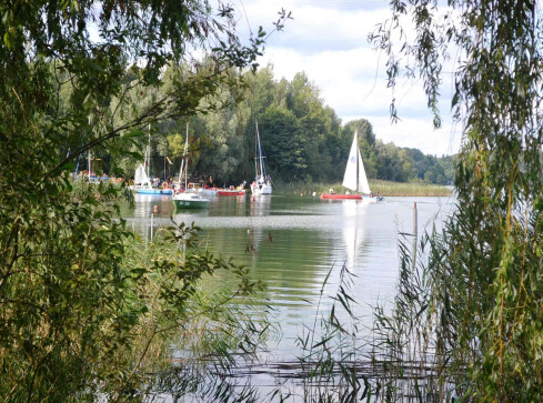 Jaka jest jakość wody w Zalewie Koszyckim? - grafika