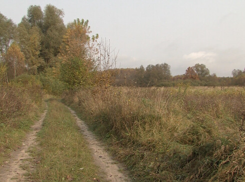 Strefa ekonomiczna w Wałczu się rozbudowuje - grafika