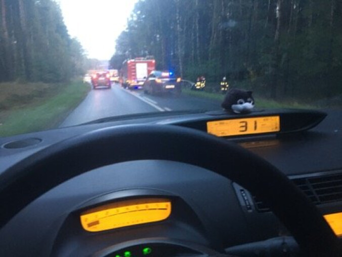 Jechał i uderzył w drzewo - grafika