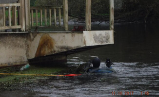 Trzy małe kotki wyciągnęli z rzeki strażacy i strażnicy