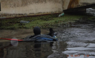 Trzy małe kotki wyciągnęli z rzeki strażacy i strażnicy
