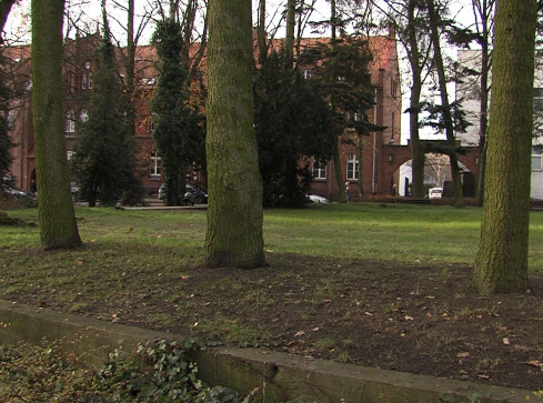 Pomnik niepodległości w Trzciance? - grafika