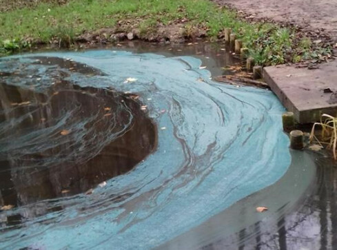 Skażona woda w jeziorze? - grafika