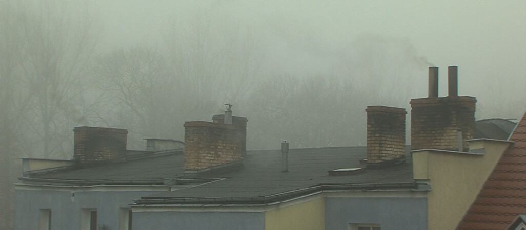 Wielkopolska walczy ze smogiem