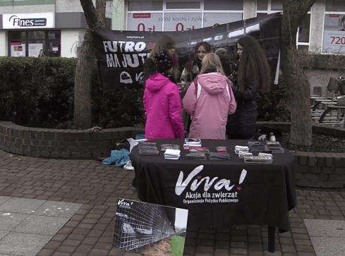 Dzień bez futra - happening w Pile - grafika