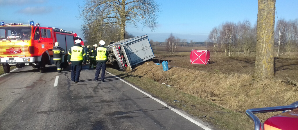 37 prosiaków zginęło w wypadku transportu