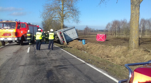 37 prosiaków zginęło w wypadku transportu - grafika