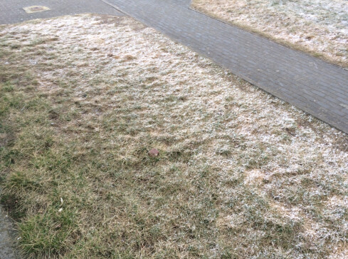 Co z tą wiosną? Ostrzeżenie IMGW przed śnieżycą - grafika